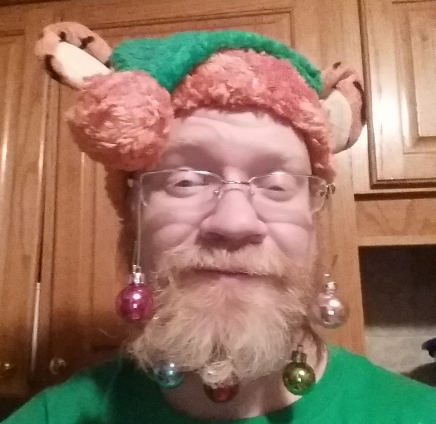 ornaments in beard