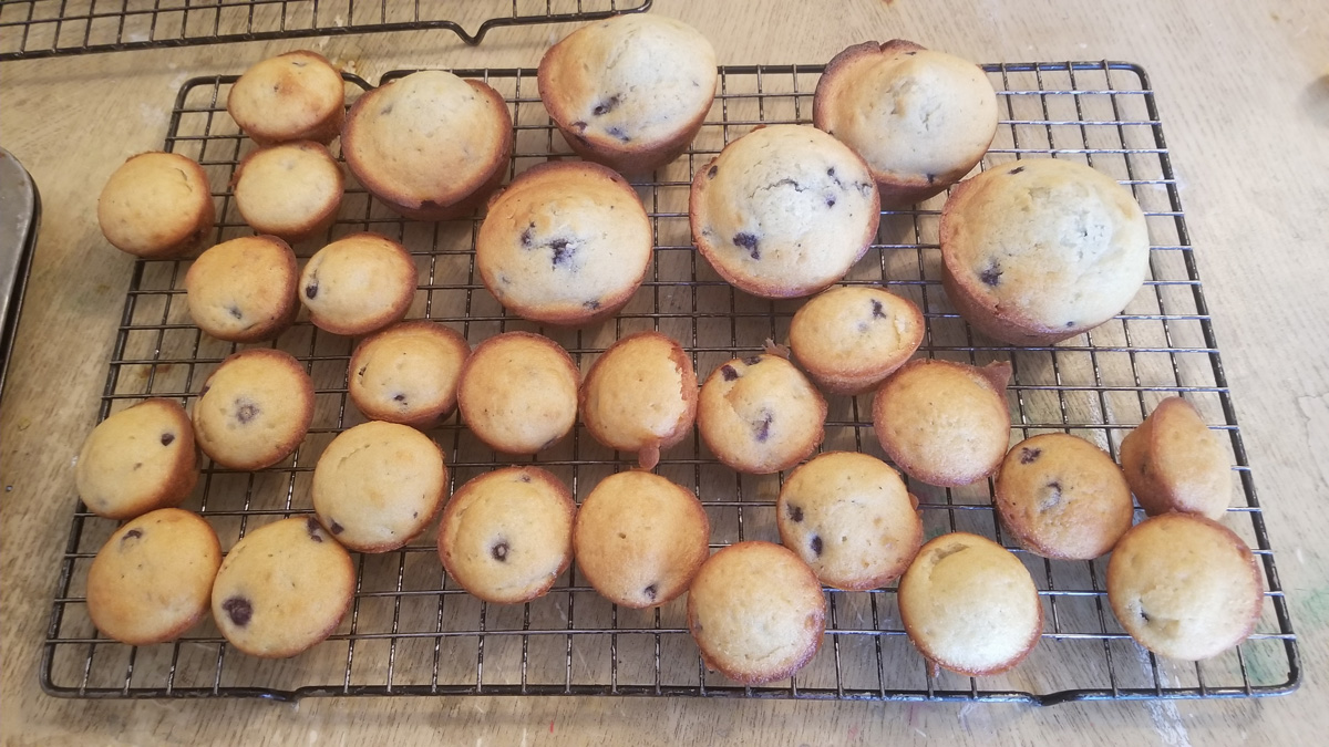 rack of blueberry muffins