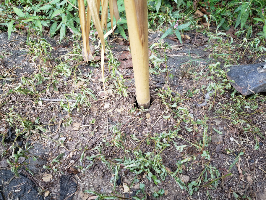 stake in the hole stake in the hole