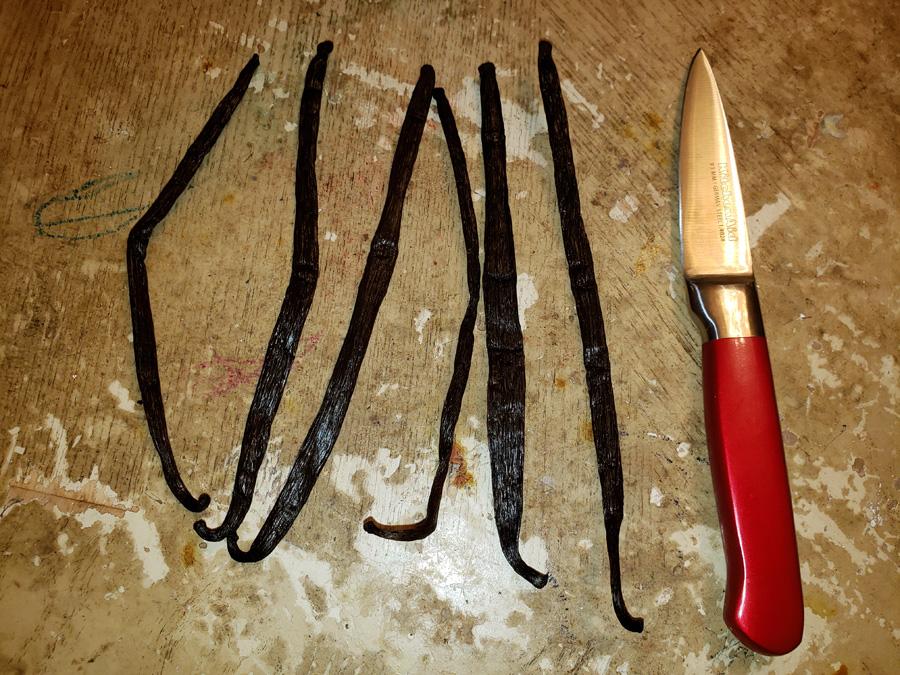 vanilla beans vanilla beans