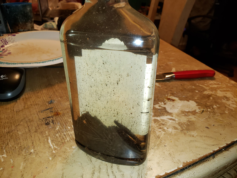 beans in bottle beans in bottle